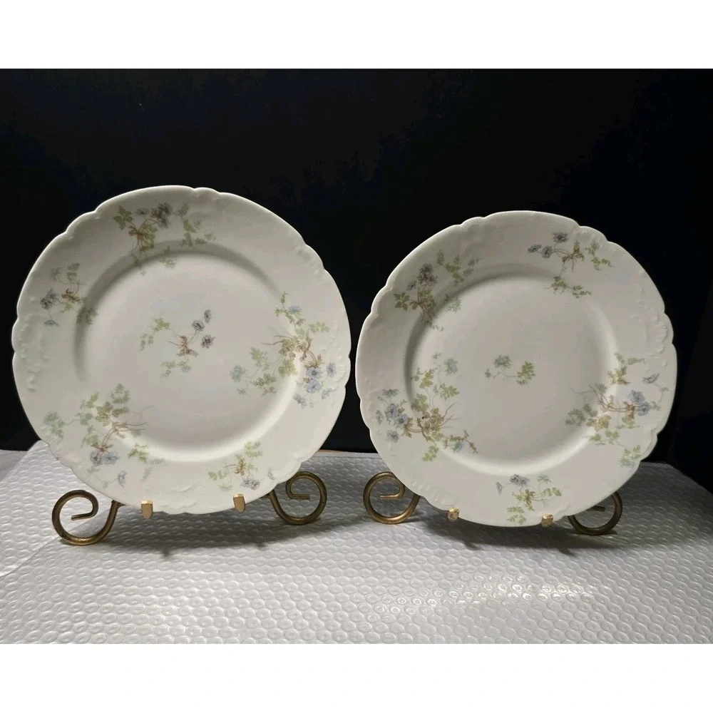 Pair Of Antique Jean Pouyat Limoges(J.P.L.)FinePorcelain Floral Scalloped 8.5